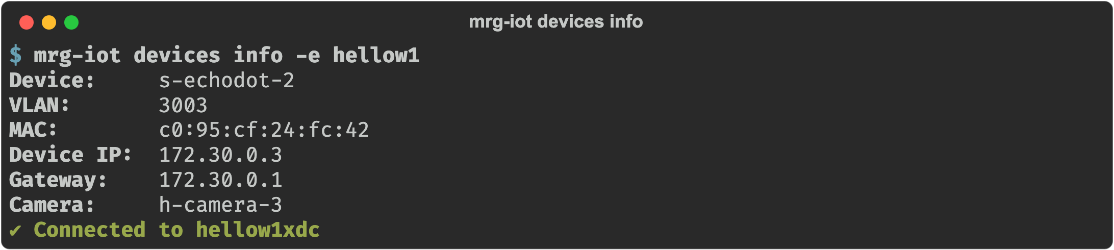 mrg-iot devices info listing VLAN, MAC, device IP, gateway, and camera per device