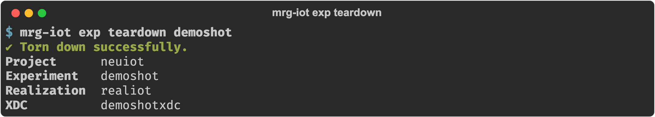 mrg-iot exp teardown reporting 'Torn down successfully' with the project, experiment, realization, and XDC it released