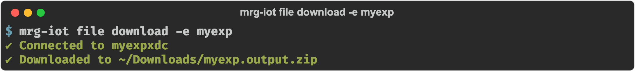 mrg-iot file download confirming the output directory was saved as ~/Downloads/myexp.output.zip