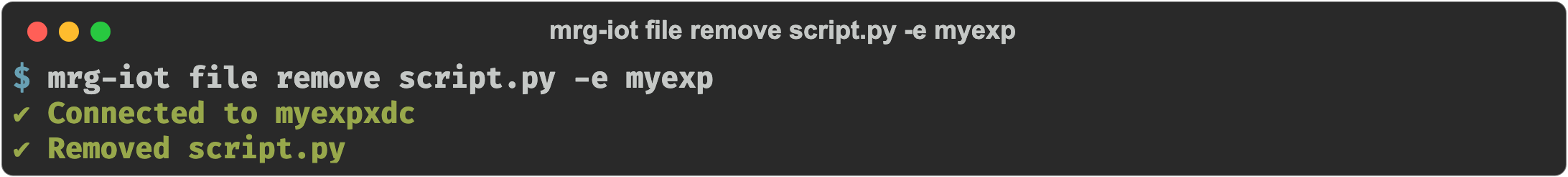 mrg-iot file remove script.py confirming the file was removed