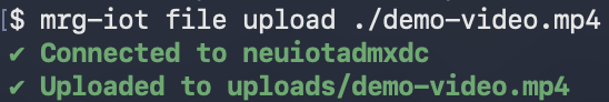 mrg-iot file upload /path/to/file confirming the file was uploaded to uploads/video.mp4