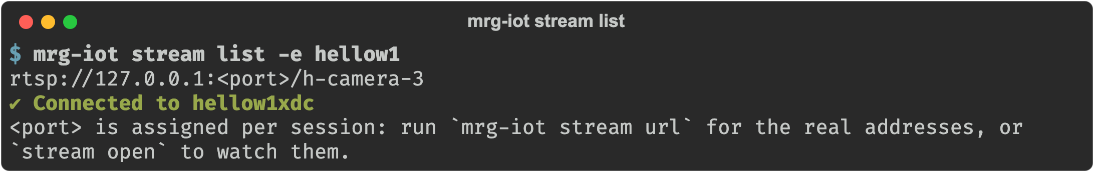 mrg-iot stream list printing the RTSP address of the experiment's camera